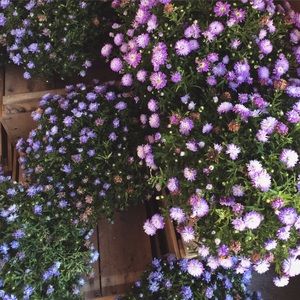 Meet your Posher, SQ